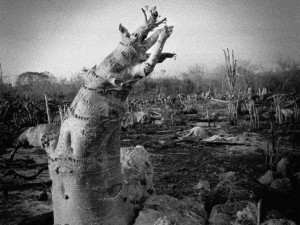 aqui-nos-vemos-fotografia-en-america-latina-2000-2015