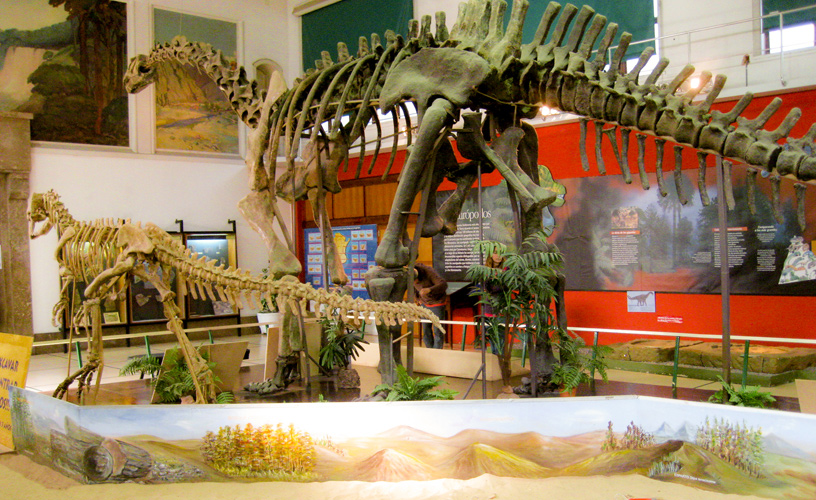 museo-ciencias-naturales-1