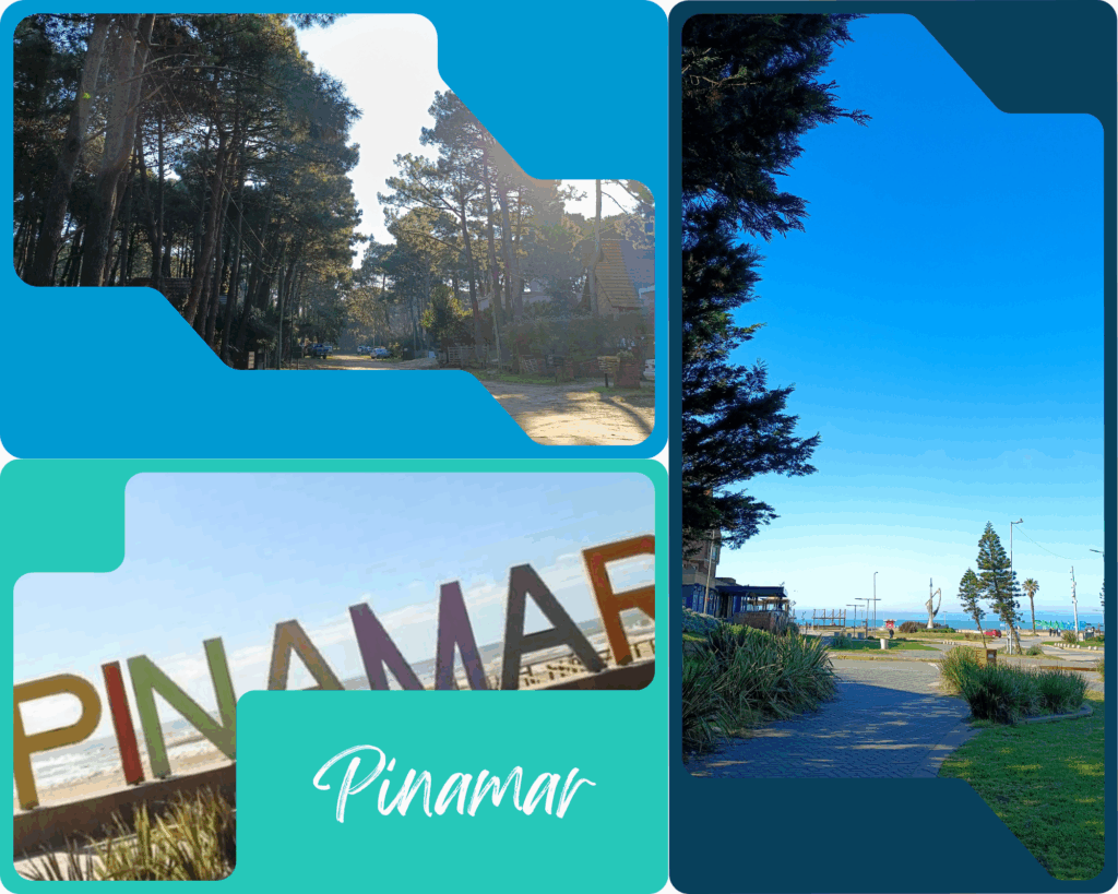 Pinamar beach Argentina pine forests