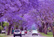 Your Essential Buenos Aires Packing Guide (2026)